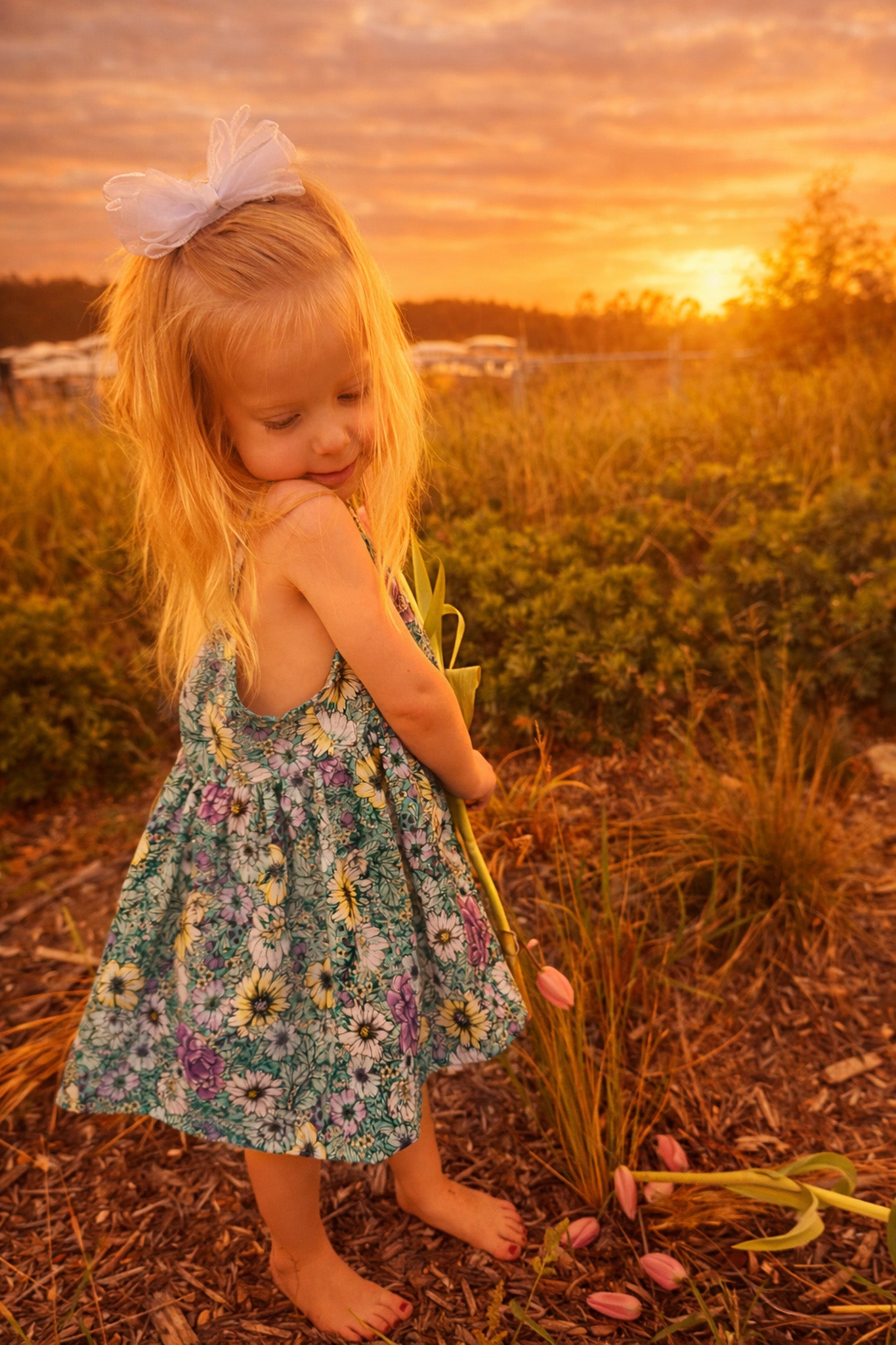 Annie Tunic & Dress - NEW!!!