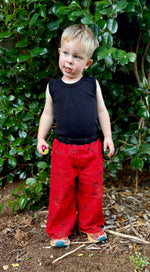 Load image into Gallery viewer, Colby Pants - FREE
