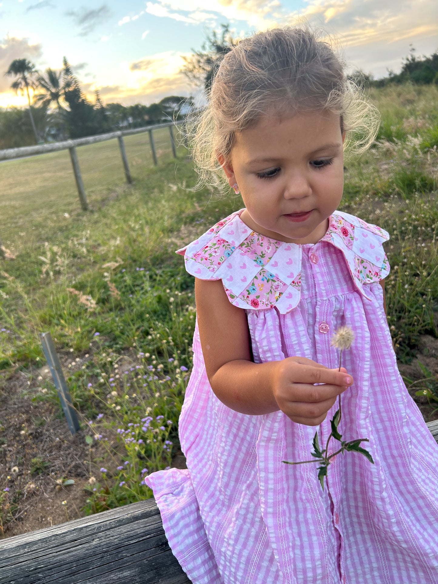 Violet Baby Dress & Romper