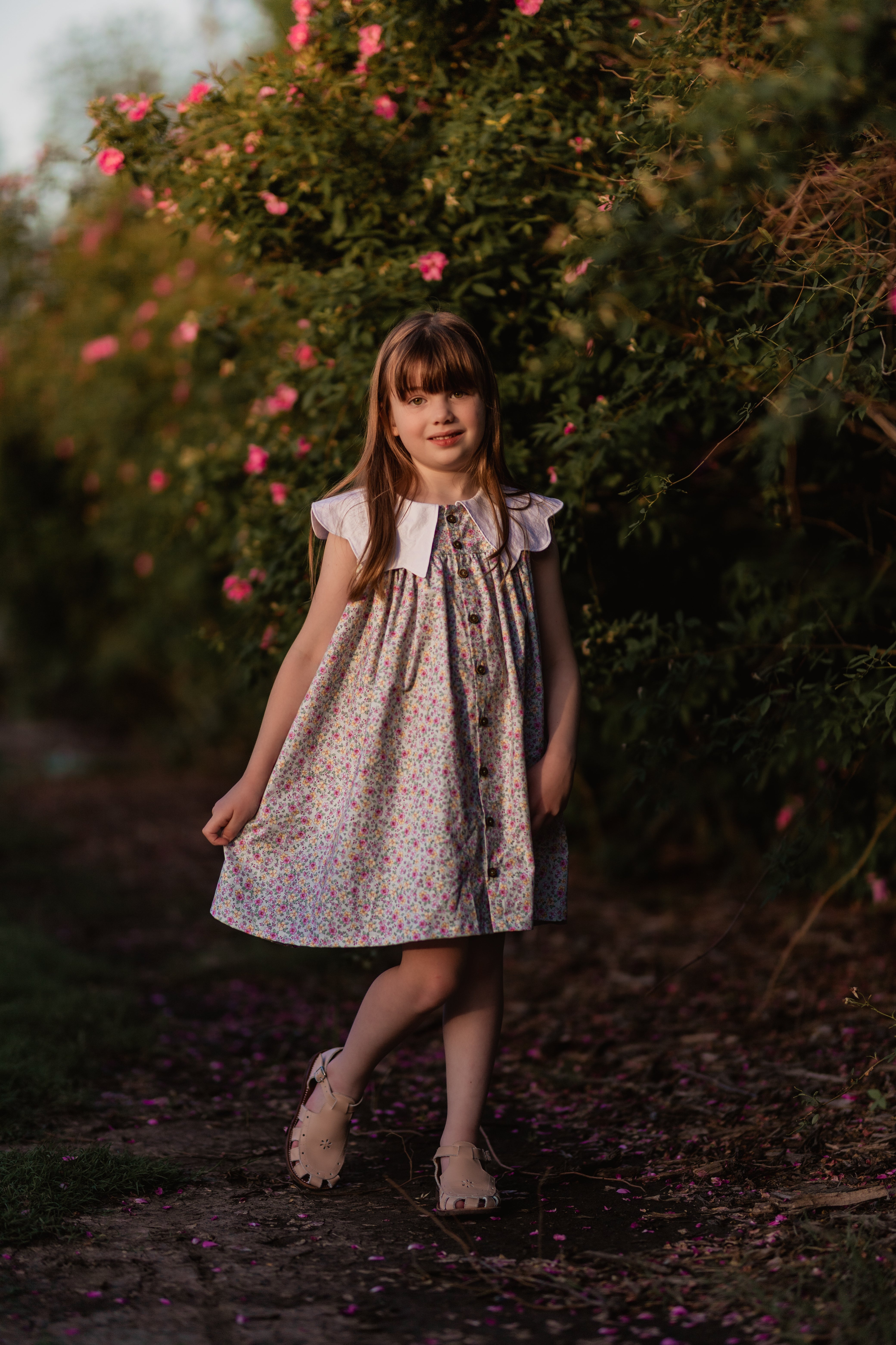 Violet Dress
