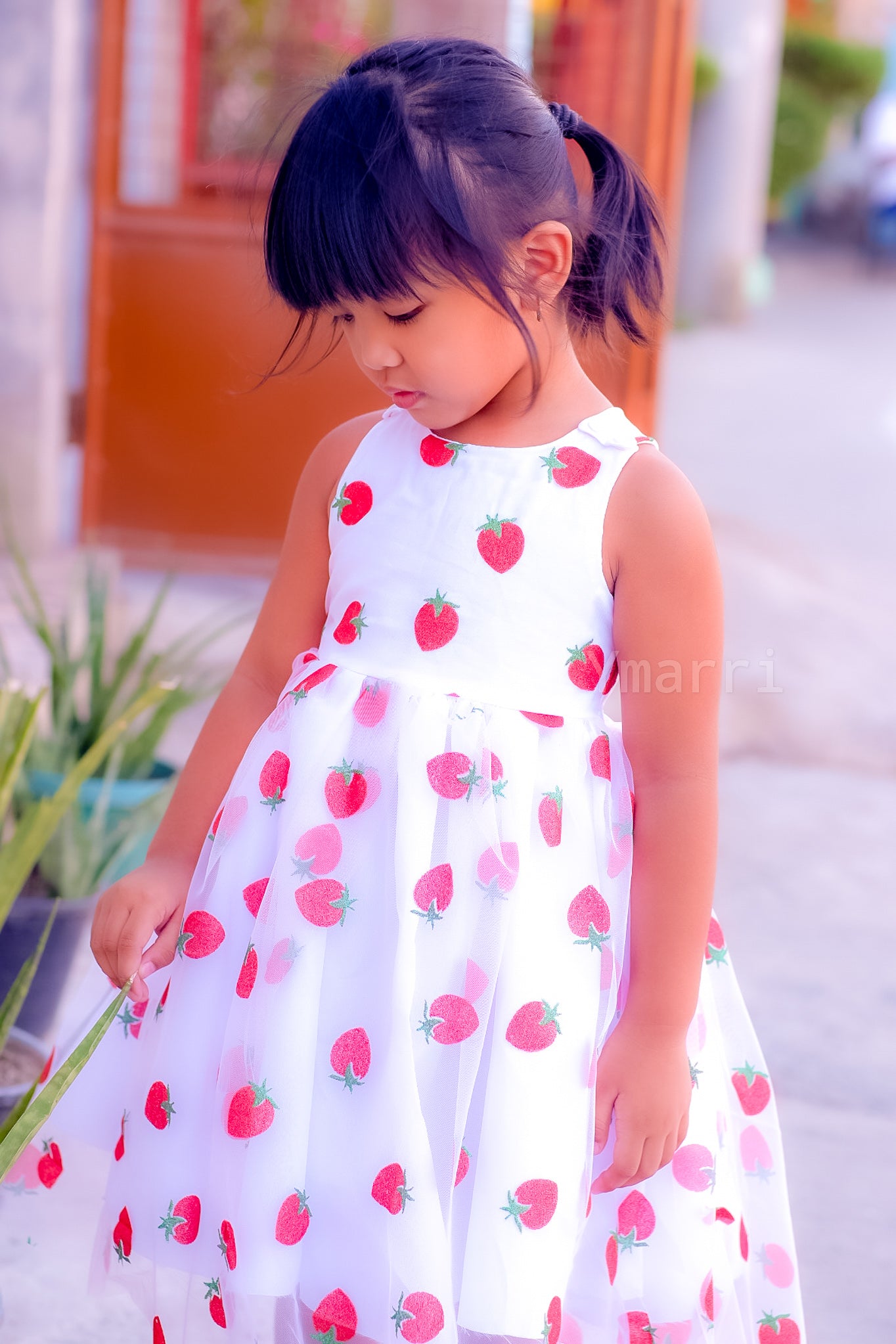 Annabelle Dress & Top