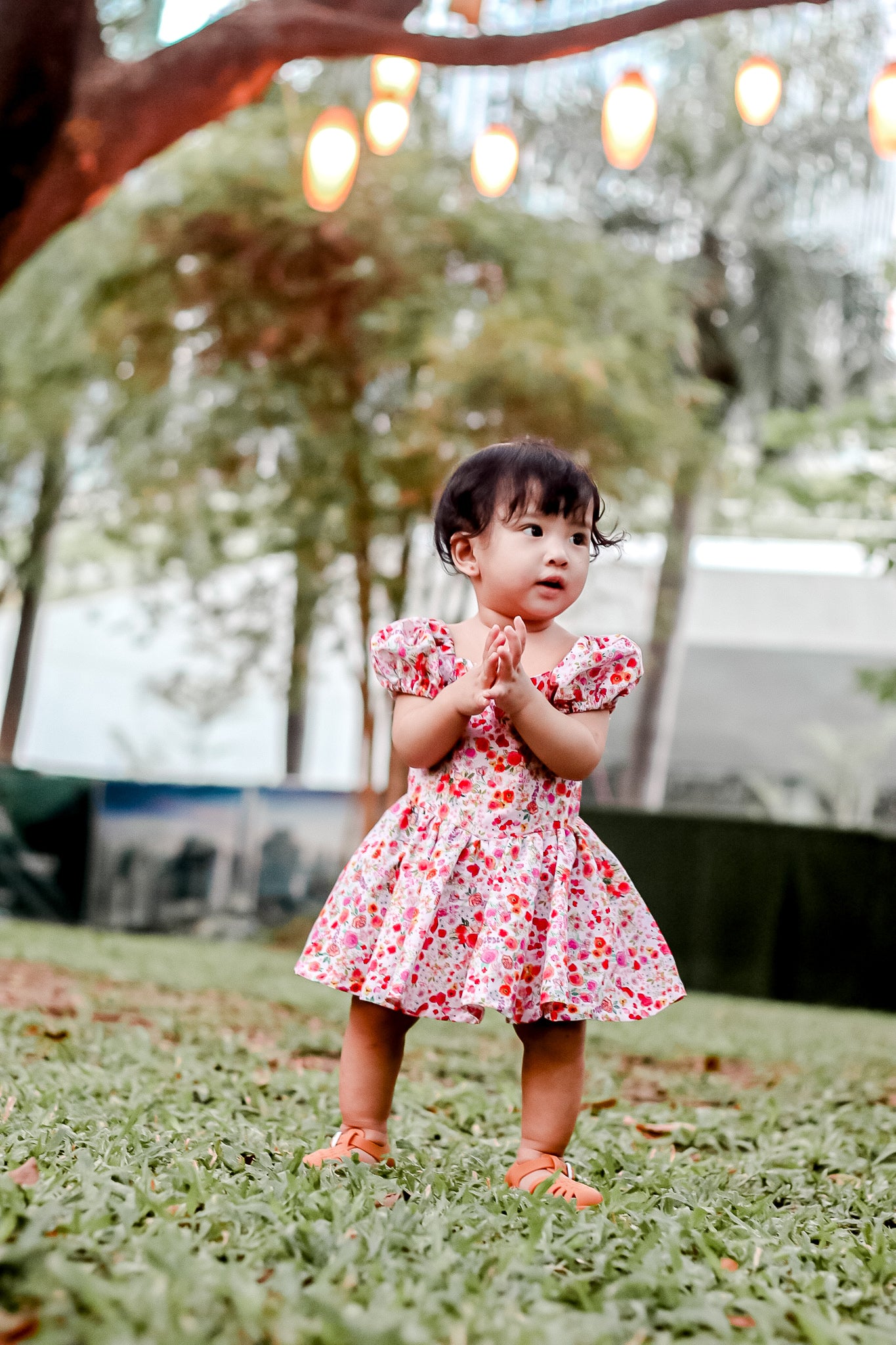 Marthena Sweetheart Dress