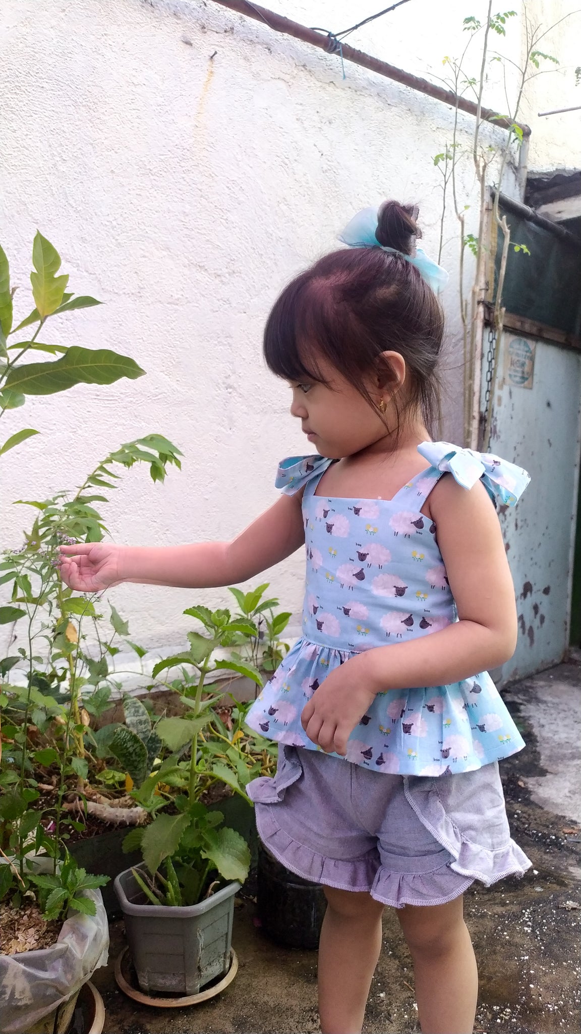 Pippa Peplum Top & Dress